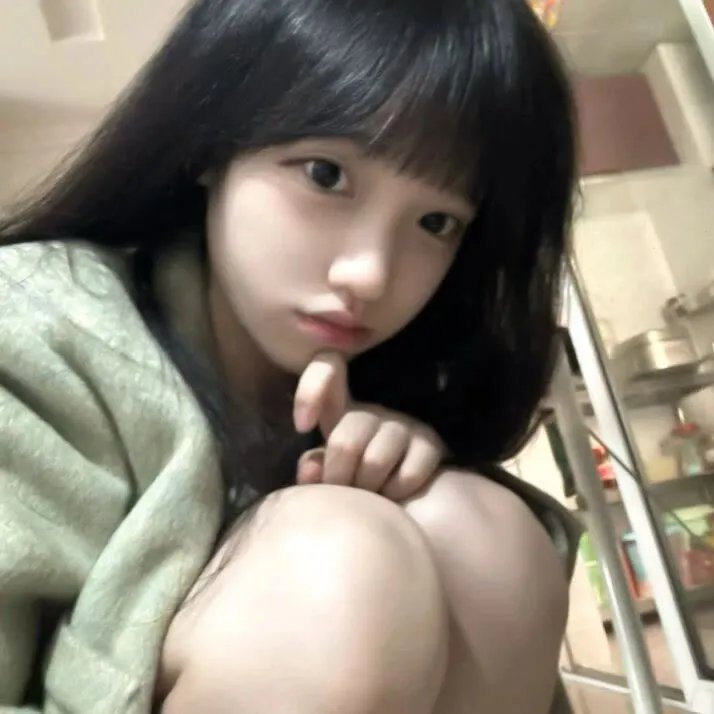 汽车女窃贼